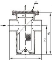 SRBIW籃式過濾器